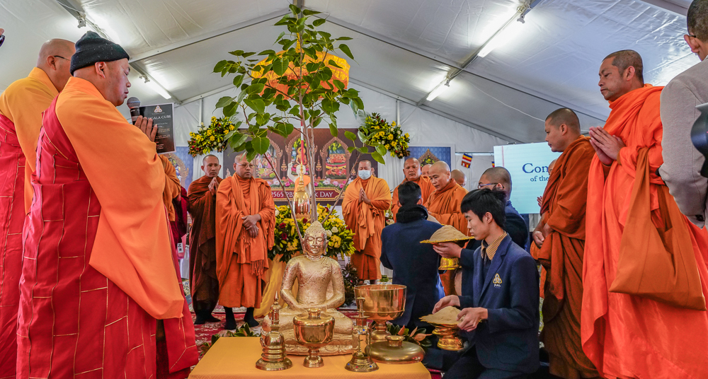 Bodhi tree Vesak Buddhist ceremony